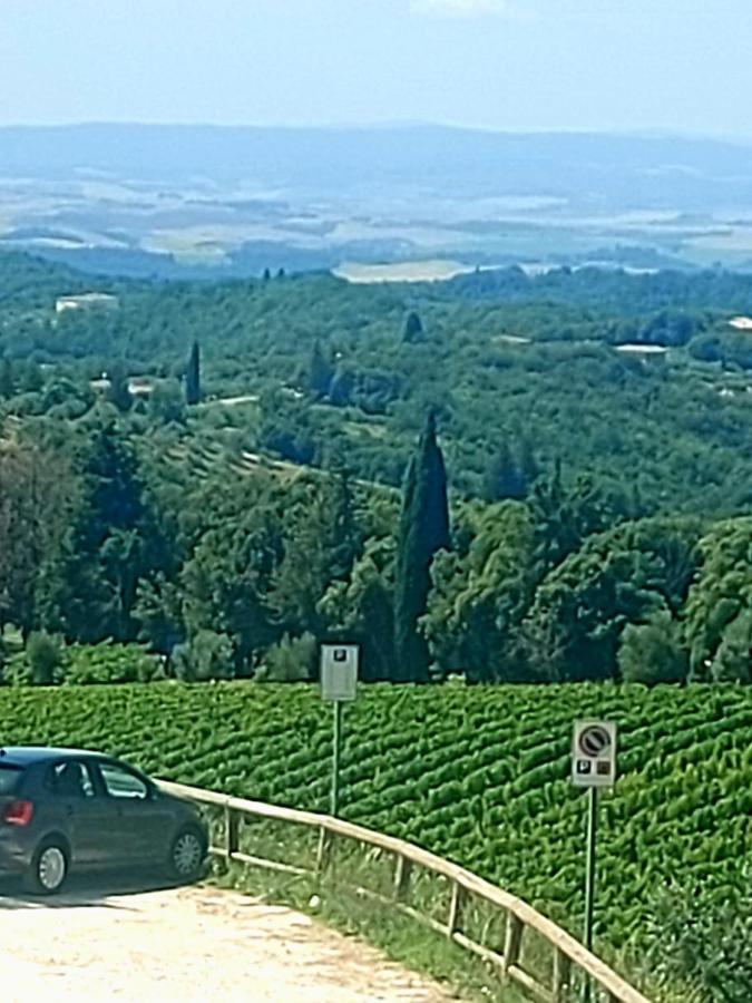 House With A View In Tuscany San Gusme Zewnętrze zdjęcie