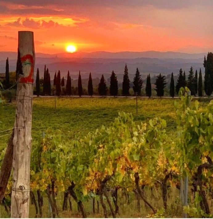 House With A View In Tuscany San Gusme Zewnętrze zdjęcie