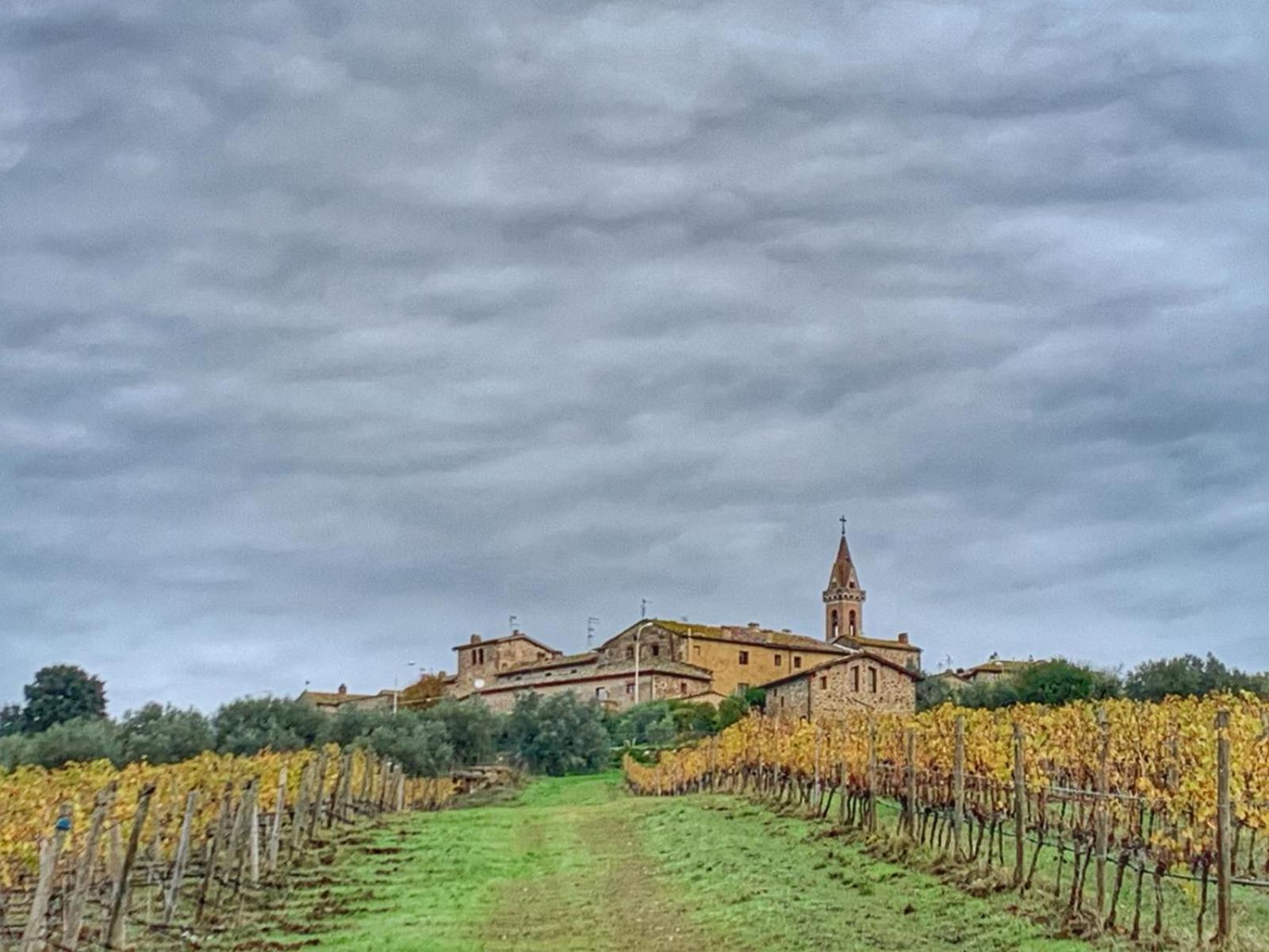 House With A View In Tuscany San Gusme Zewnętrze zdjęcie
