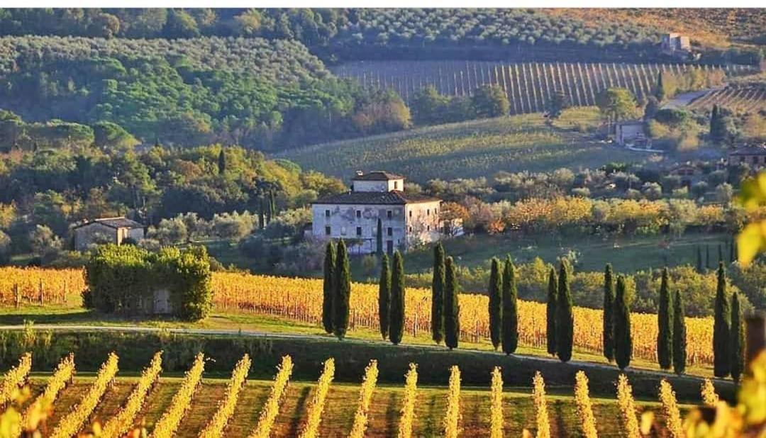 House With A View In Tuscany San Gusme Zewnętrze zdjęcie