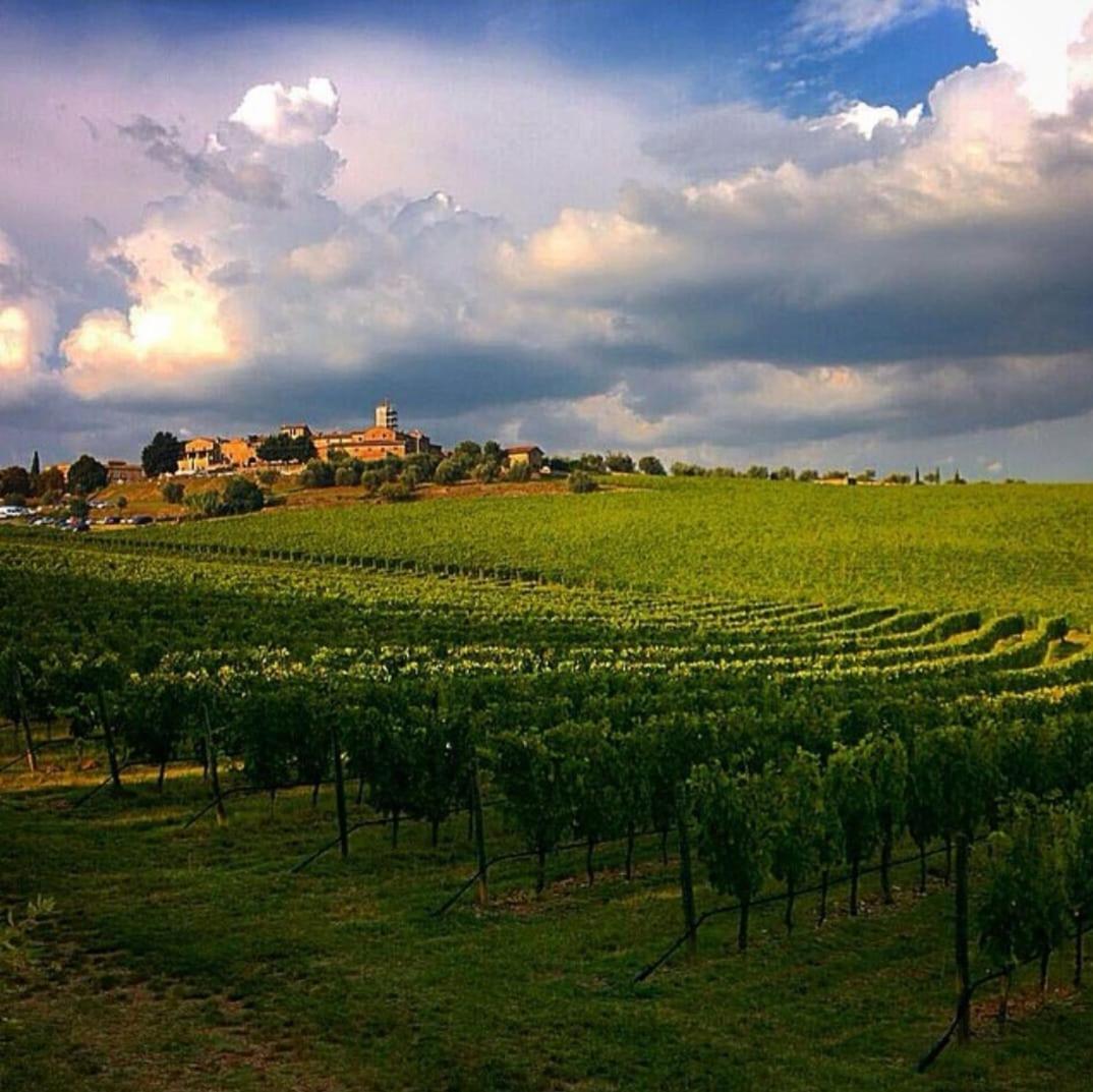House With A View In Tuscany San Gusme Zewnętrze zdjęcie